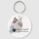Search for ragdoll key rings Kitten