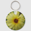 Search for raindrop key rings Photography