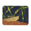 Search for grasshopper magnets Green