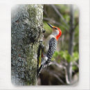 Search for woodpecker mouse mats Red bellied woodpecker