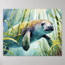 Search for manatee art Florida