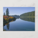 Search for clear postcards Reflection