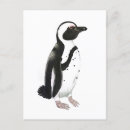 Search for black white drawing postcards Pencil
