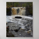 Search for roots art Water