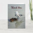Search for seagull bird on sand cards Seagulls