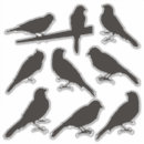Search for birds silhouette stickers Freedom