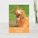 Search for funny chicken birthday cards Bird