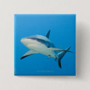 Search for sealife badges Animals