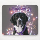 Search for springer mouse mats Pet