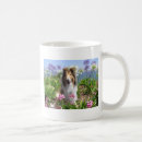 Search for rough collie mugs Dogs