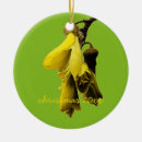Search for kiwi christmas tree decorations Green