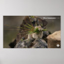 Search for cbc posters Documentary