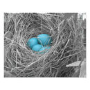 Search for nesting art Egg
