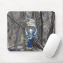 Search for kookaburra mouse mats Wildlife