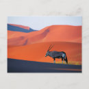 Search for namib postcards Desert