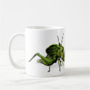 Search for green grasshopper mugs Katydid