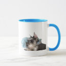 Search for mini schnauzer mugs Puppy
