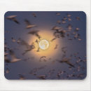 Search for refuge mouse mats Superstock