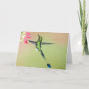 Search for tail feathers cards Nature