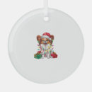 Search for papillon christmas tree decorations Puppy