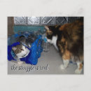 Search for struggles postcards Funny