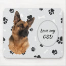 Search for shepherd and electronics Gsd