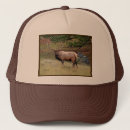 Search for racks hats Buck