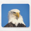 Search for balding mouse mats Profile