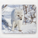 Search for arctic fox mouse mats Canada