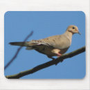 Search for mourning dove electronics Doves