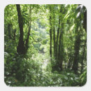 Search for rain forest stickers Nature