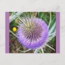 Search for purple flower pattern postcards Nature