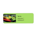 Search for kayak return address labels Photography