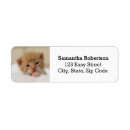 Search for cute kitten return address labels Sweet