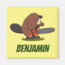 Search for beavers magnets Cartoon