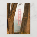 Search for overlook postcards Beach