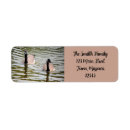 Search for pond return address labels Photography