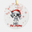 Search for dalmatian christmas tree decorations Watercolor