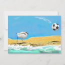 Search for plover cards Beach