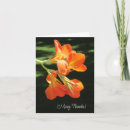 Search for blank nature cards Orange