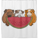 Search for guinea pig shower curtains Animal