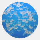 Search for monterey california stickers Usa