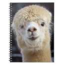 Search for alpaca notebooks Peru