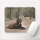 Search for alertness mouse mats Outdoors