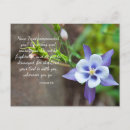 Search for columbine flowers postcards Purple