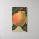Search for lithographed canvas prints California