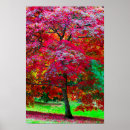 Search for maple trees posters Red