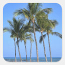Search for coconut tree stickers Beach