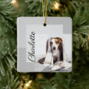 Search for not cleaning christmas tree decorations Minimal