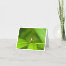 Search for hopper cards Cute